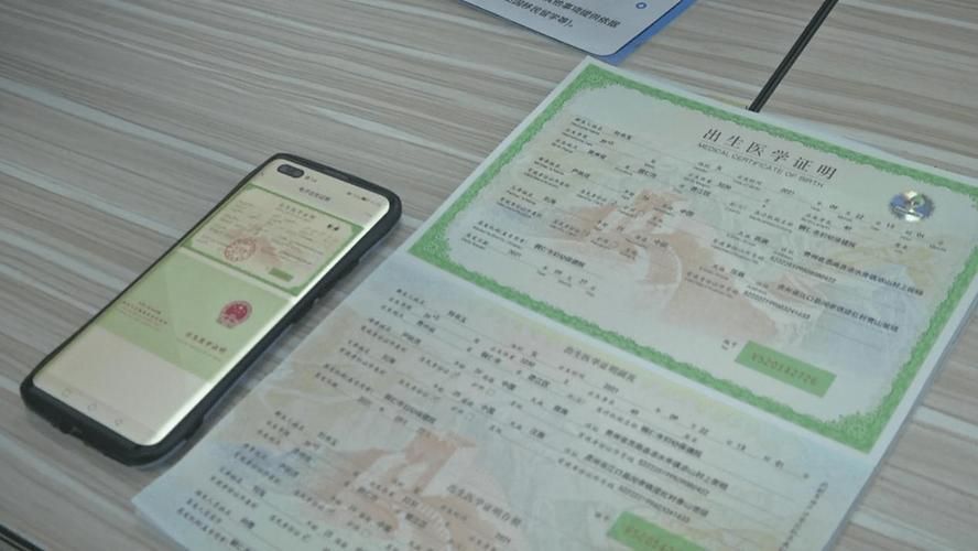 出生证明最新版本是多少 新旧版本区别对比