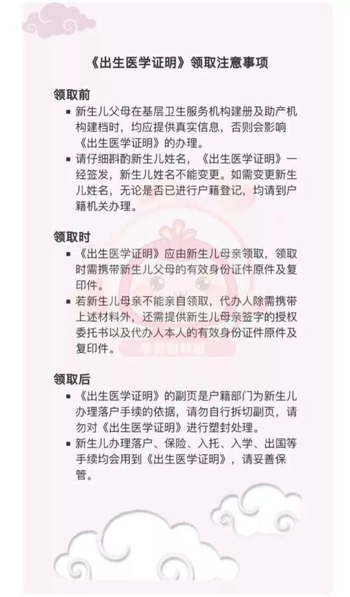 出生证明汉化版下载方法及注意事项分享