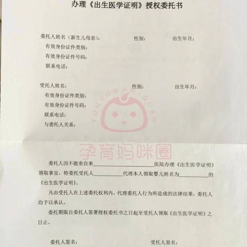 出生证明汉化版下载方法及注意事项分享