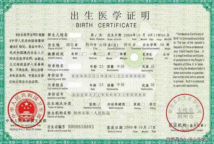 出生证明汉化版下载方法及注意事项分享