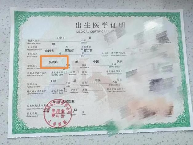 出生证明汉化版下载方法及注意事项分享