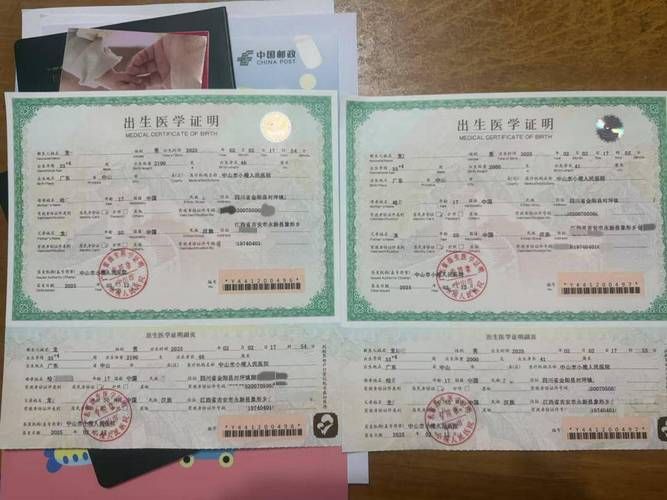 出生证明汉化版下载方法及注意事项分享