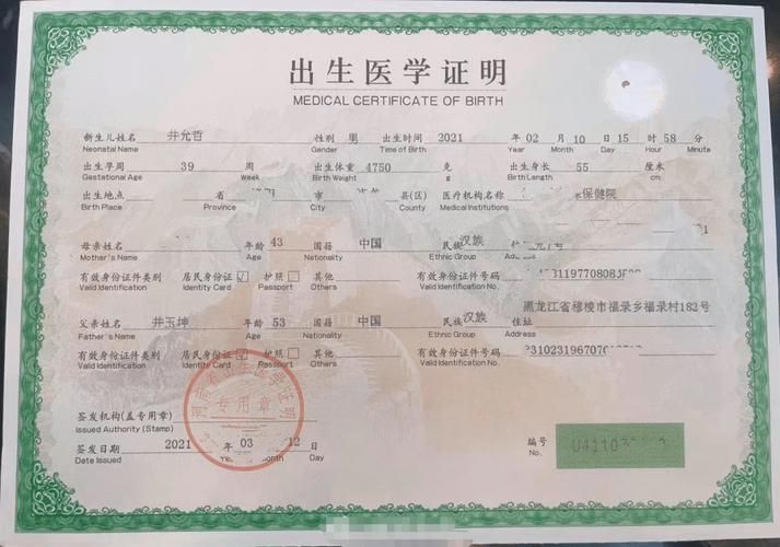 出生证明汉化版下载方法及注意事项分享