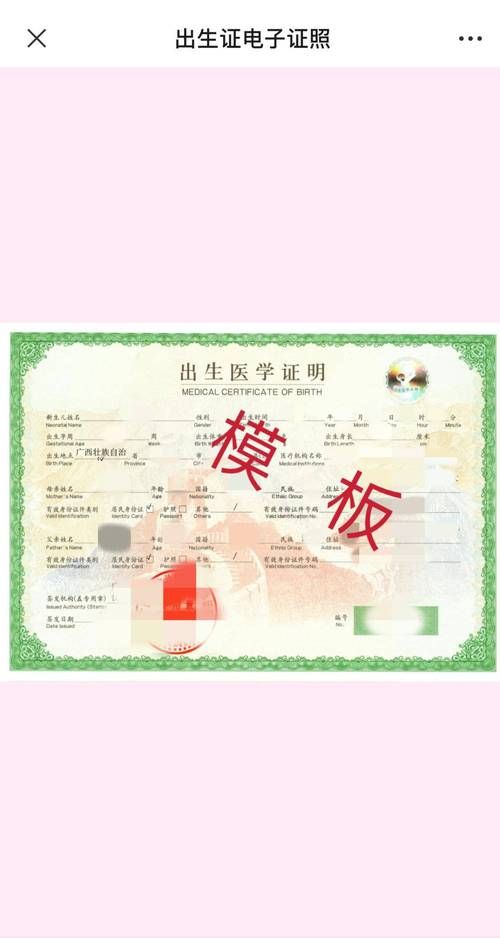 出生证明汉化版下载方法及注意事项分享