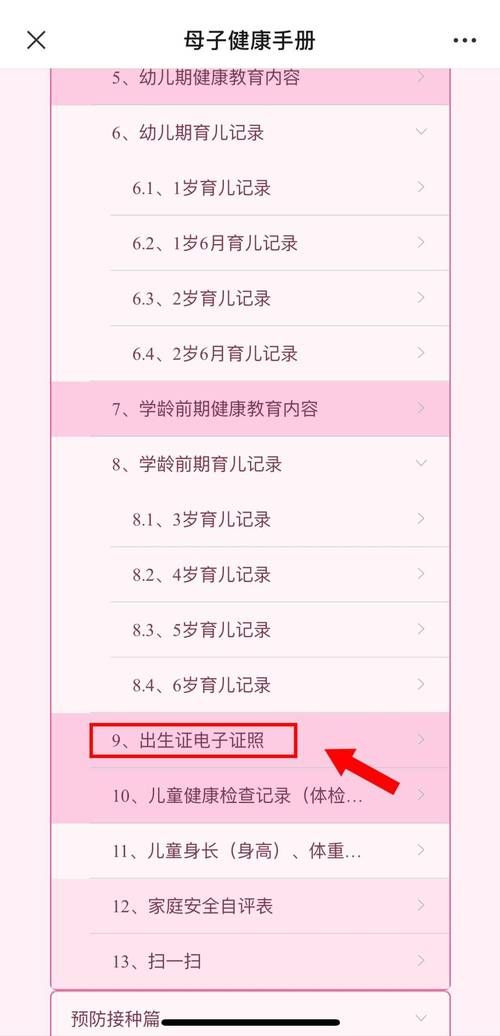 出生证明汉化版下载方法及注意事项分享