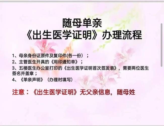 出生证明汉化版下载方法及注意事项分享