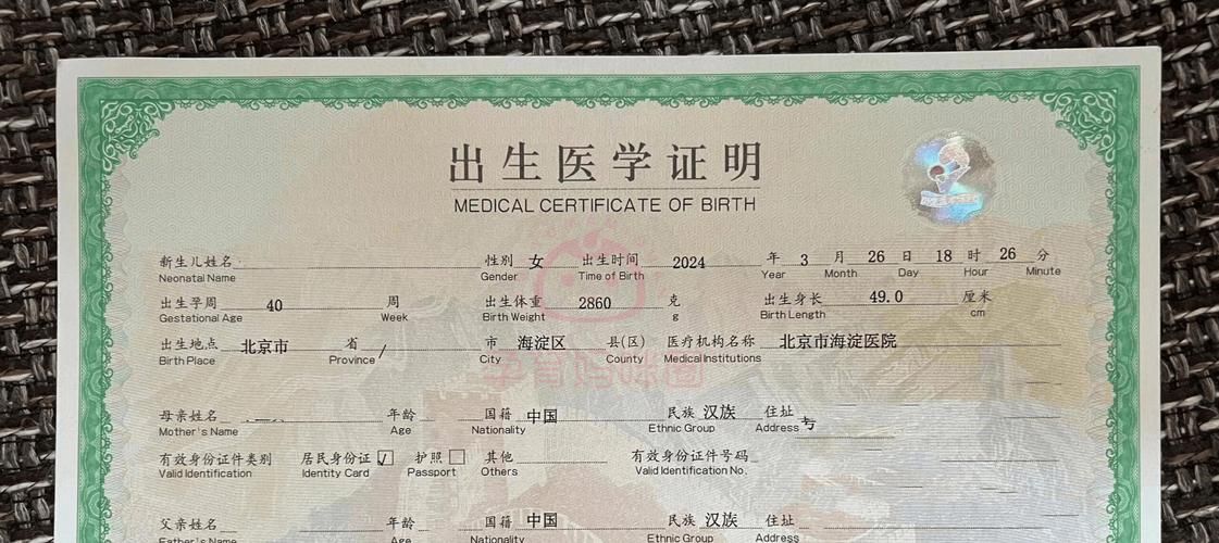 出生证明汉化版又有新变化 更新内容速查