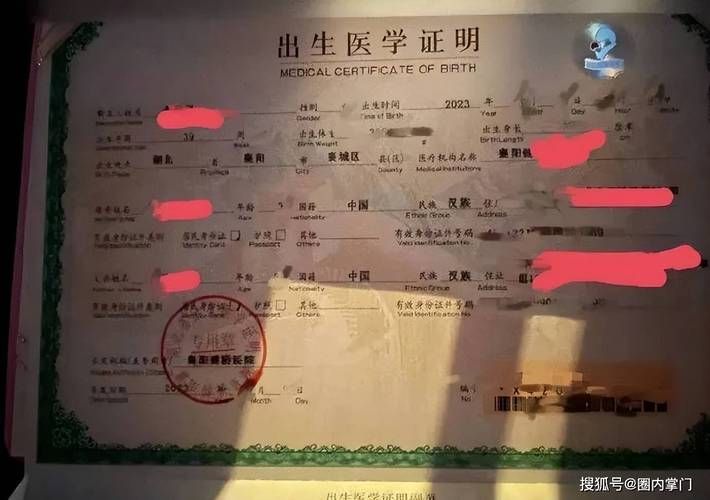 出生证明汉化版又有新变化 更新内容速查