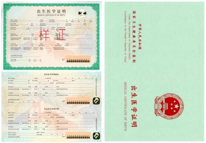 出生证明汉化版又有新变化 更新内容速查