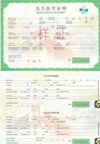 出生证明汉化版又有新变化 更新内容速查