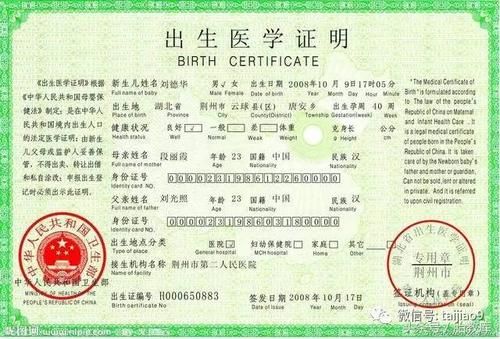 出生证明汉化版又有新变化 更新内容速查