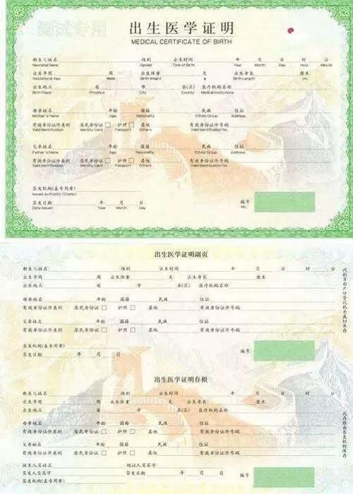 出生证明游戏官网电脑版和手机版下载对比