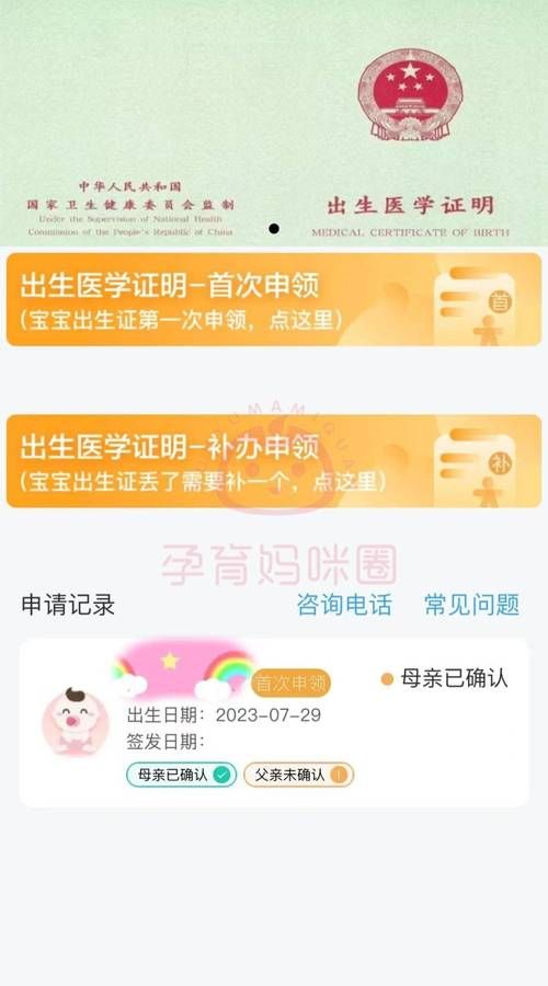 出生证明游戏官网电脑版和手机版下载对比