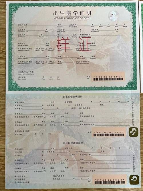 出生证明游戏官网电脑版和手机版下载对比