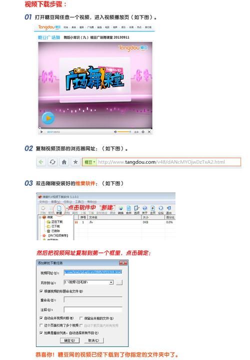刘婵养成计划下载方法 最新版本一键安装指南