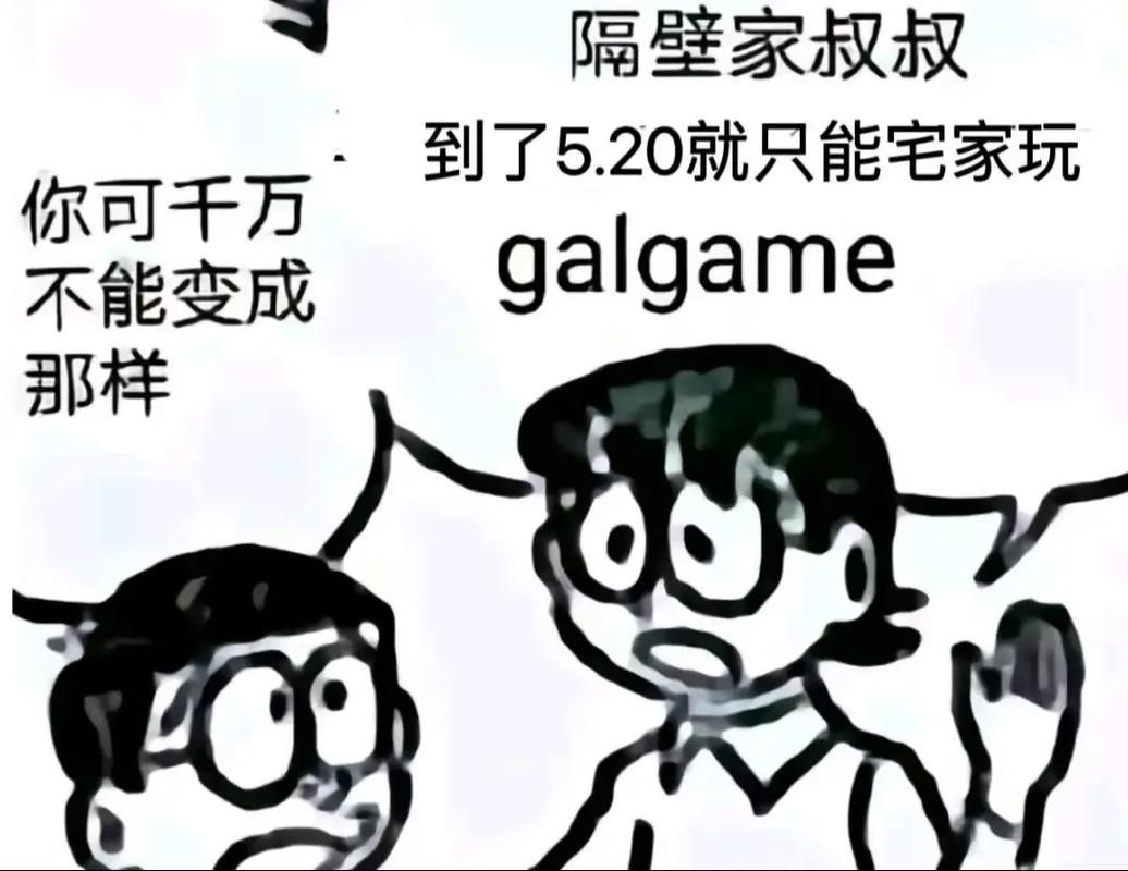 刘婵养成计划游戏攻略详细玩法解析与心得分享