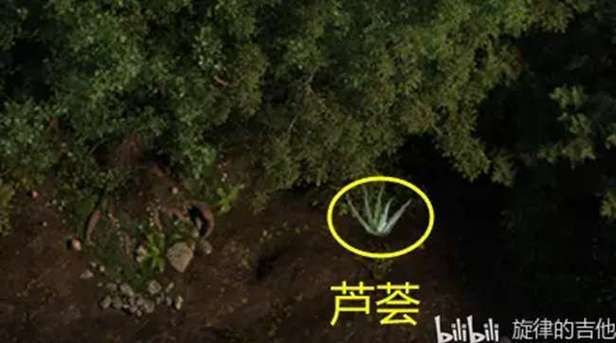 创世秩序杨过游戏最新版本更新内容解析
