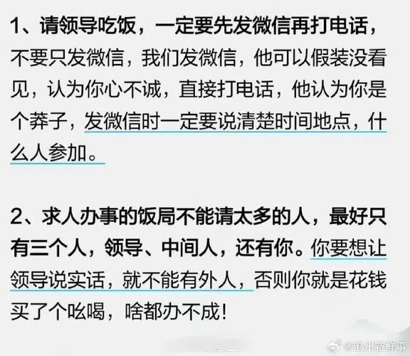 办公室潜规则汉化版下载 职场老鸟都在用的生存法则