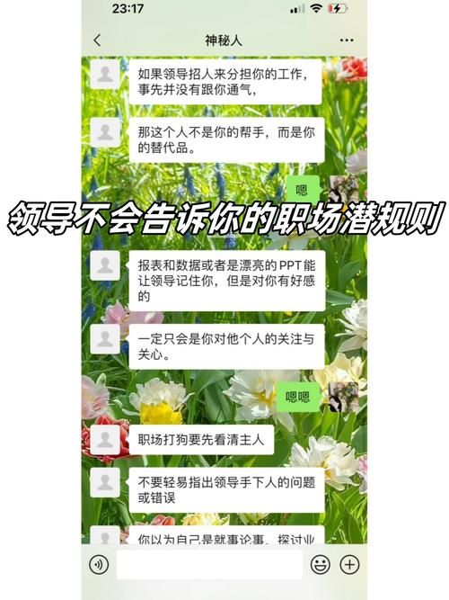 办公室潜规则游戏介绍 揭秘职场中的隐藏玩法
