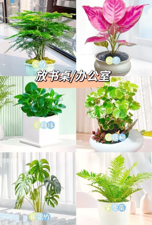 办公室福利下载地址合集 轻松提升工作效率