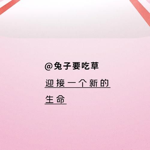 加藤的新生活官网带你开启全新生活方式