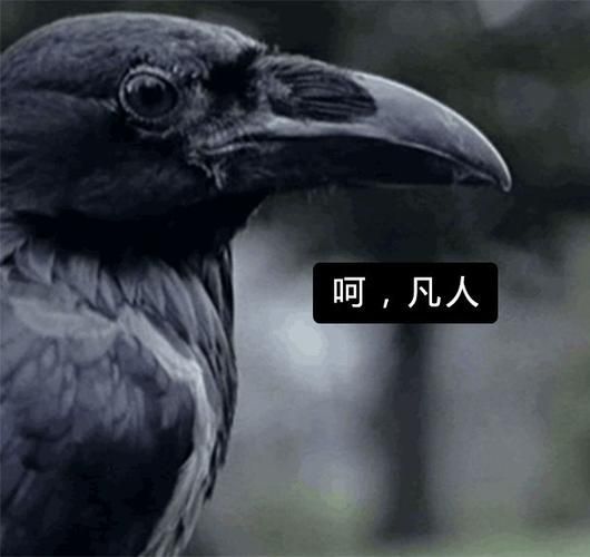 动起来的伊索寓言更新地址失效了试试这个新链接