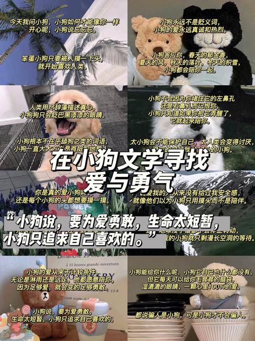 勇气之爱官方网站最新资讯一网打尽别错过