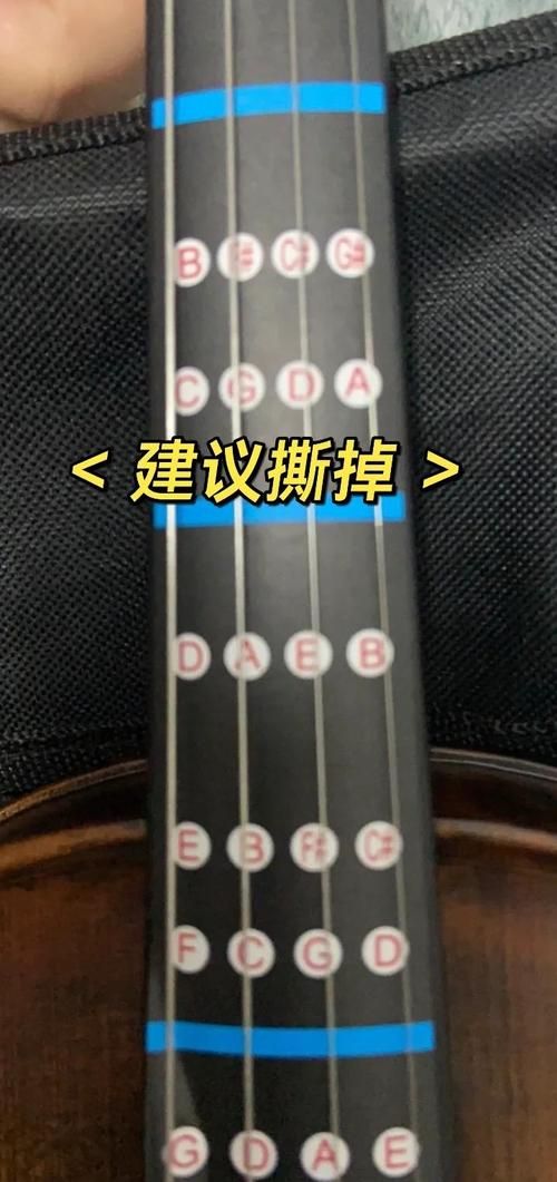 勇气之爱版本大全 新手必看版本选择指南