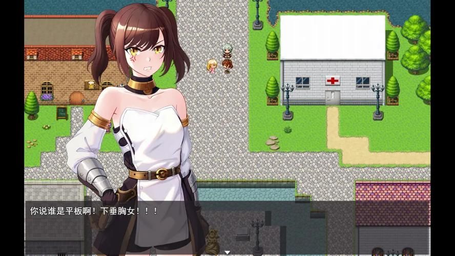 勇者罗伊的婚礼最新版本攻略大全新手必看