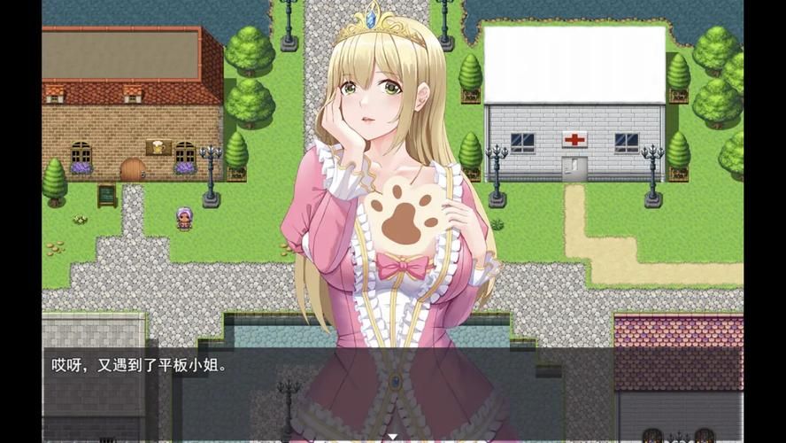 勇者罗伊的婚礼最新版本攻略大全新手必看