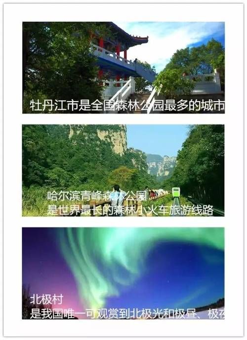 北极光开始最新版本号查询 一键获取当前版本 北极光开始最新版本号查询 一键获取当前版本