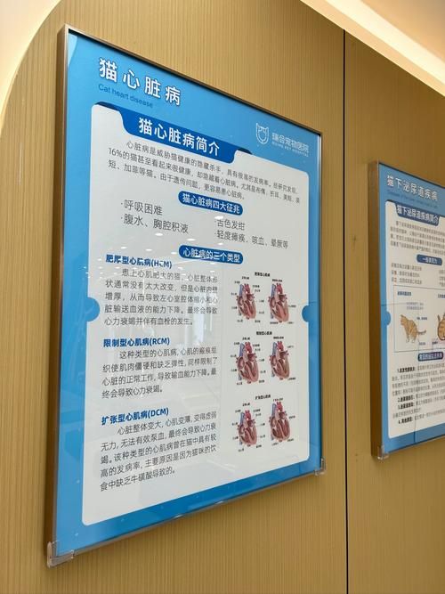 医德最新建设方向 从制度到文化的全面提升