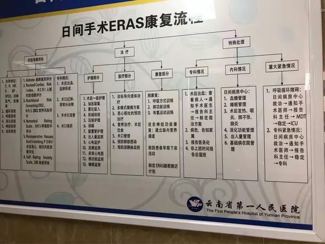 医疗特别护理下载地址大全 免费安全版推荐