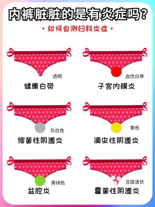 医疗特别护理最新版本是多少 教你快速查看当前版本