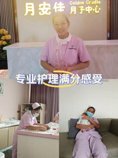 医疗特别护理游戏下载推荐，专业护理模拟轻松玩
