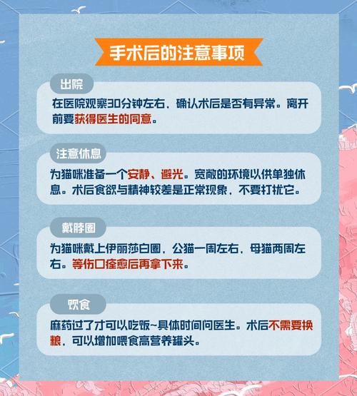 医院的诱惑安卓汉化版攻略 新手必看玩法解析