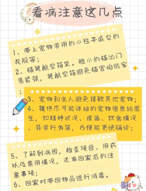 医院的诱惑安卓汉化版攻略 新手必看玩法解析