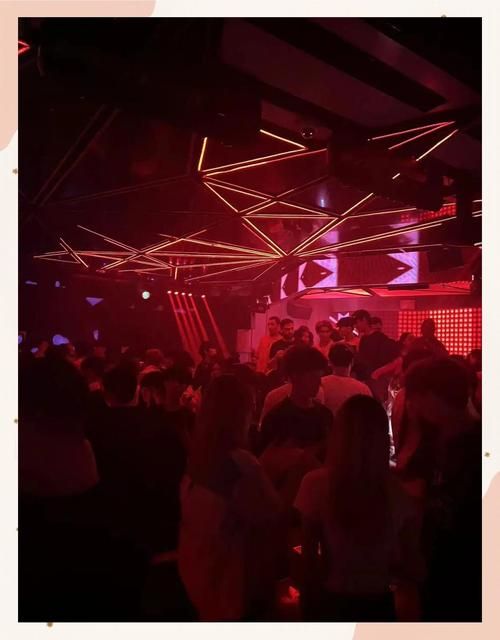 午夜天堂版本大全最新下载地址一键获取