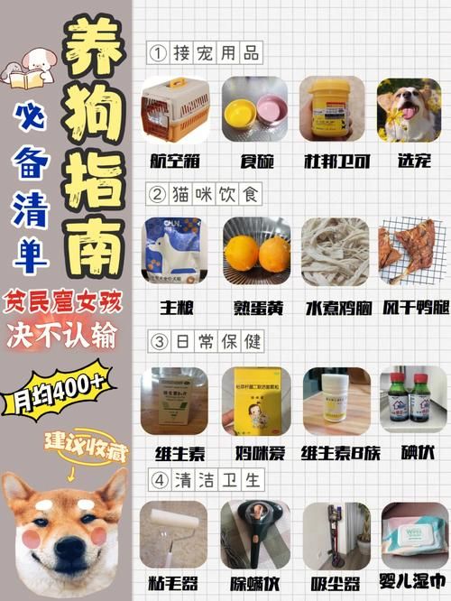 华贵至上游戏攻略大全 新手快速上手必备指南