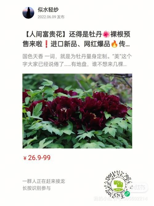 华贵至上版本大全热门推荐总有一款适合你