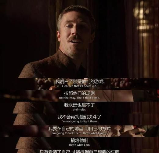卑鄙者的秘宝游戏官网入口 正版游戏资源一键直达