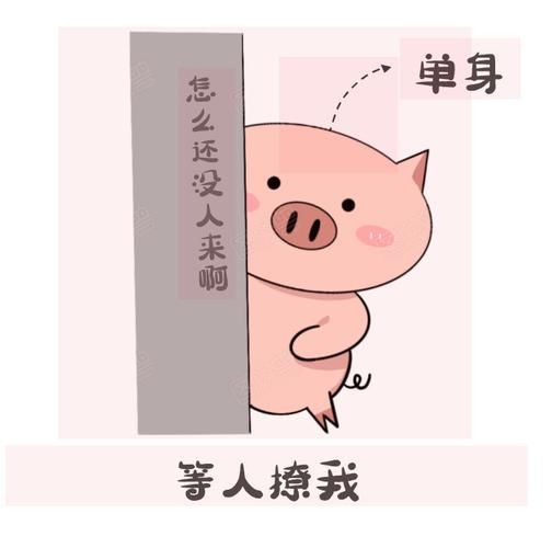 单身交友神器SingleAgain 官方正版下载地址