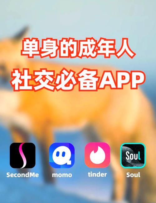 单身交友神器SingleAgain 官方正版下载地址