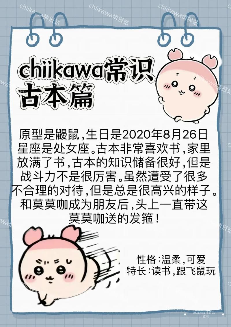 卡哇伊3版本大全功能特色全面解析