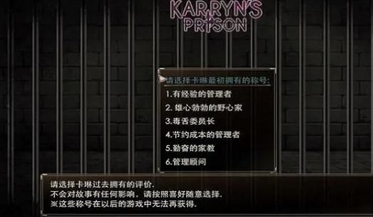 卡林监狱长官方网站入口及办事指南详解