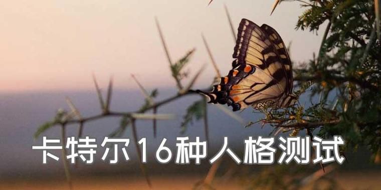 卡特尔模拟官方网站最新入口地址分享