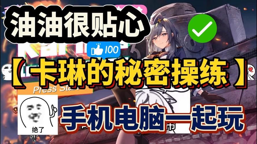 卡琳的私密操练官网常见问题解决方法汇总