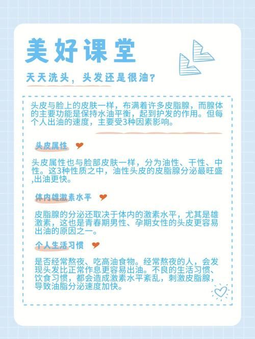 卢德岛版本大全常见问题解答