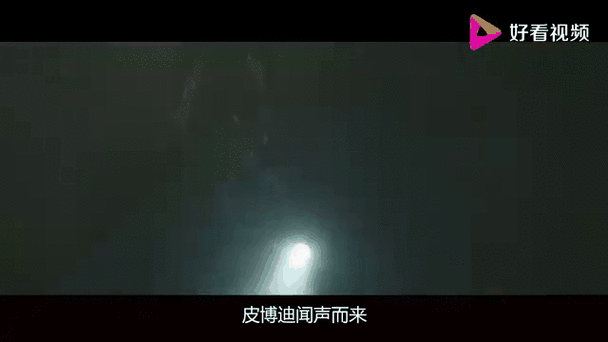 卧底女特工更新地址揭秘最新动态曝光