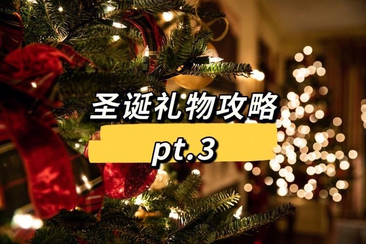 卫宫的圣诞节最新版本号查询 官网下载攻略分享